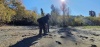 Пункт реабилитации медвежат-сирот появится в Алтайском заповеднике
